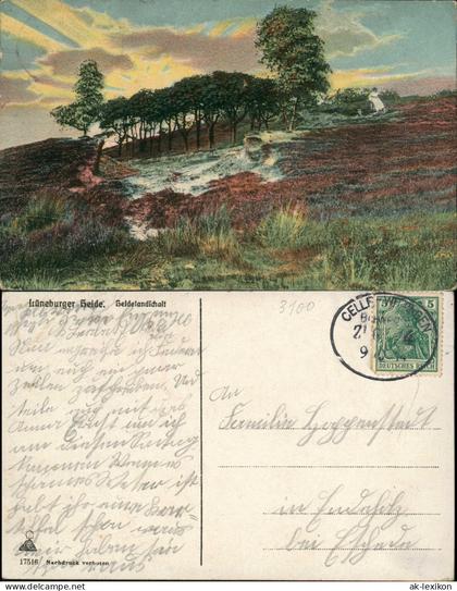 Ansichtskarte Lüneburger Heide Lüneburger Heide Heidelandschaft 1914 Bahnpost