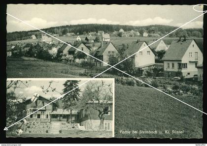 orig. Foto AK Häuser Eigenheime Partie bei Steinbach und Klein Süntel Bad Münder am Deister LK Hameln-Pyrmont