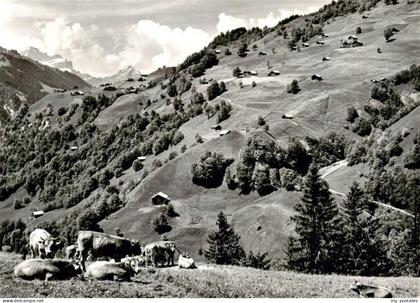 Weissenberge ob Matt Panorama
