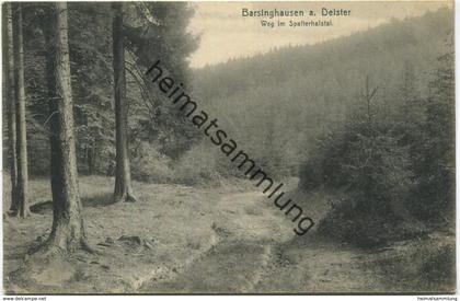 Barsinghausen am Deister - Weg im Spalterhalstal - Verlag August Brandes Barsinghausen - gel. 1909