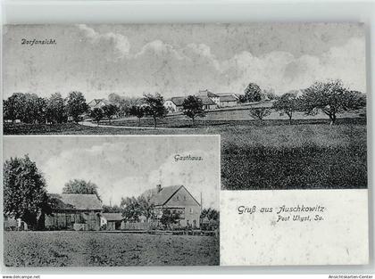 10005163 - Auschkowitz