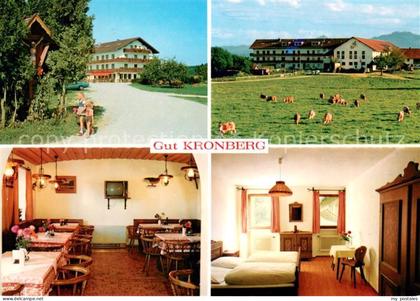 Kronberg Hoeslwang Gut Kronberg Gaststube Zimmer Wiese
