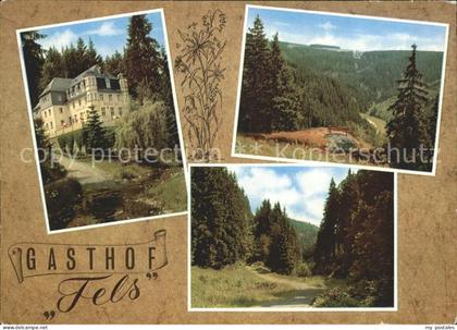 Schwarzenstein Wald Gasthof Fels