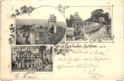 Auerbacher Schloss Bensheim