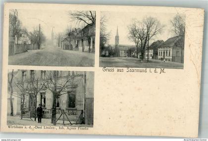 13665454 - Saarmund