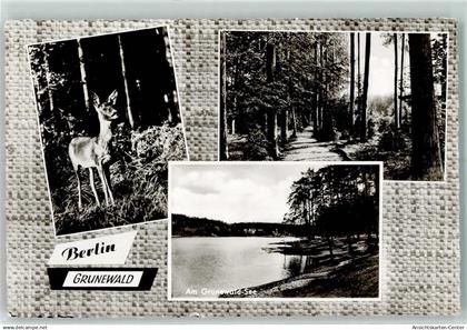10237904 - Grunewald