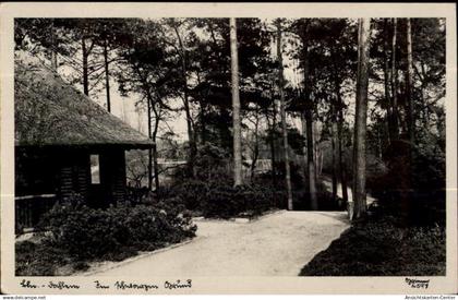 50455999 - Berlin, Dahlem
