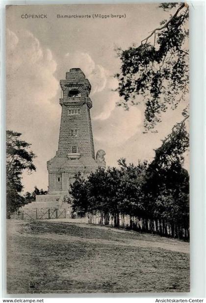 51864267 - Koepenick