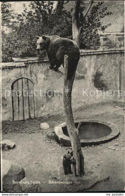 Bernburg Saale Baerenzwinger