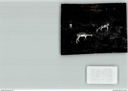 40072803 - Beverungen