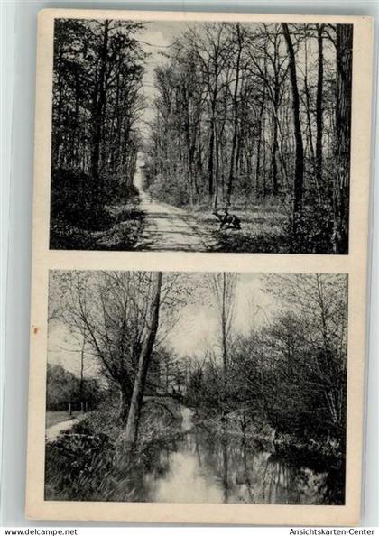 38087557 - Wolfen , Anh