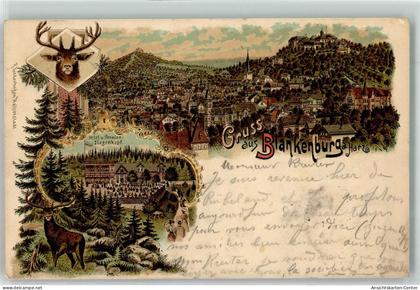 13447285 - Blankenburg Harz