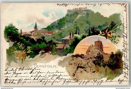 13918975 - Blankenburg Harz
