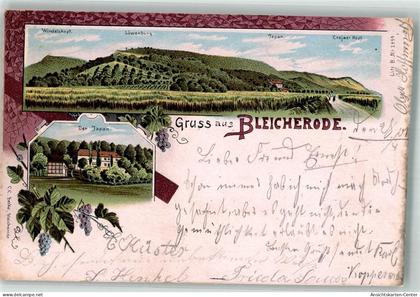 13536704 - Bleicherode