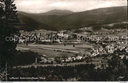 Bodenmais Panorama