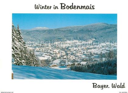 Bodenmais Regen Bayern Winterpanorama