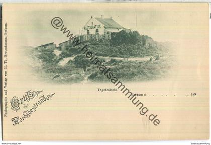 Borkum - Vogelcolonie - Gruss vom Nordseestrande - Verlag H. Th. Kretschmann Borkum