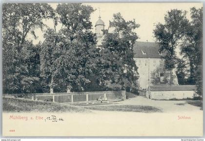 50484269 - Muehlberg , Elbe