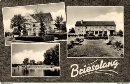 CPA Brieselang im Havelland, Teilansichten, Kaufhaus