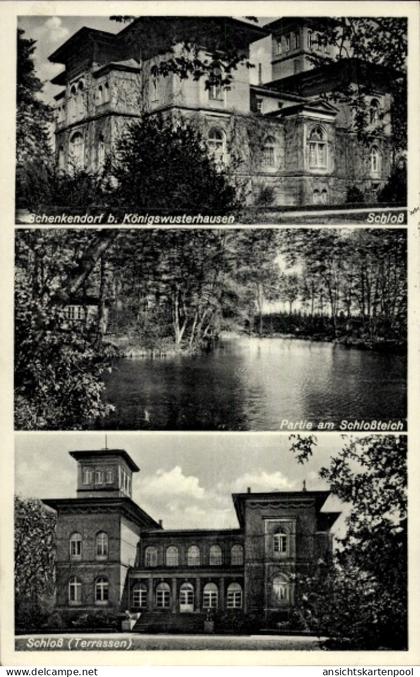 CPA Schenkendorf Mittenwalde in der Mark, Schloss, Schlossteich, Terrassen