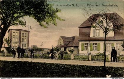 CPA Sonnewalde in der Niederlausitz, Villen, Dampfmühle