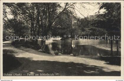 Dahme Mark Schlossteich