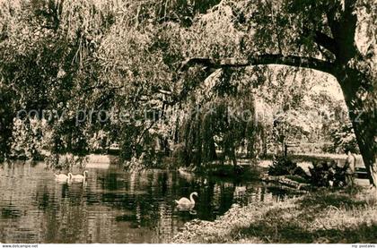 Dahme Mark Stadtpark