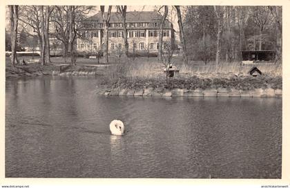 Werneuchen Uferpartie mit Schwan ngl #168.112