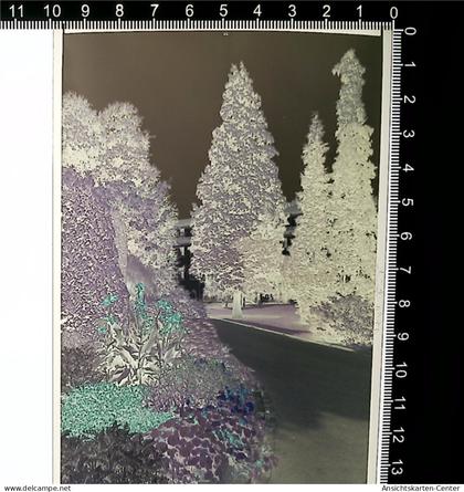 31004980 - Buehlertal