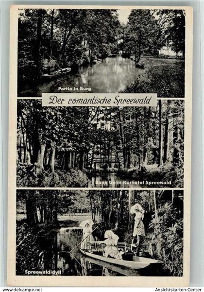 39988528 - Burg , Spreewald