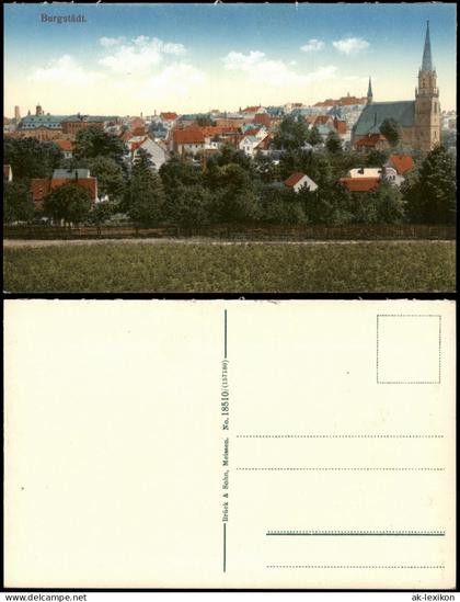 Ansichtskarte Burgstädt Partie am Stadtrand 1914