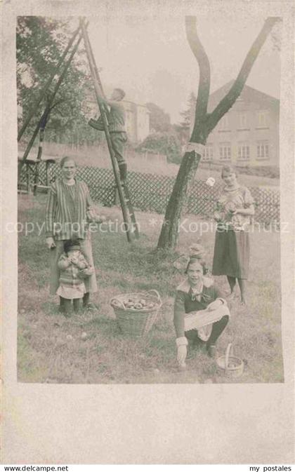 Burkhardtsdorf Erzgebirgskreis Sachsen Obsternte