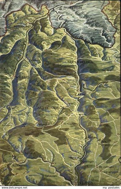 Calw Reliefkarte Calw und Umgebung