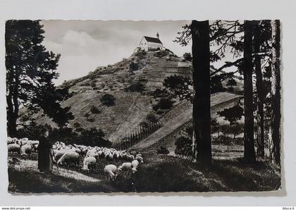08677 Post card - Tubingen - Wurmlinger BergKapelle - Deutschland Germania 1957