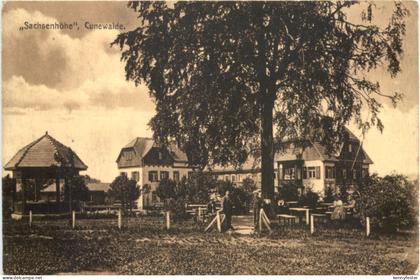 Cunewalde - Sachsenhöhe