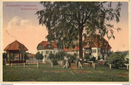 Cunewalde - Sachsenhöhe