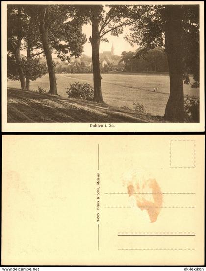Ansichtskarte Dahlen Waldweg und Stadt 1928