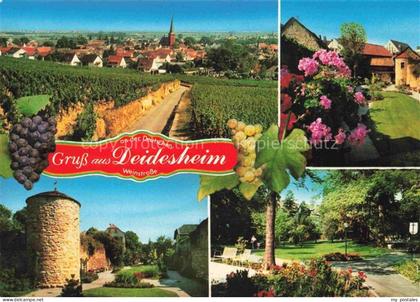 Deidesheim Panorama Turm Park