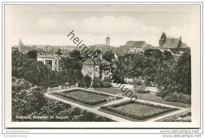 Delitzsch - Rosengarten - Rosarium im Kurpark- Foto-AK