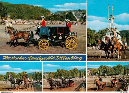 Dillenburg Hessen Hess Landgestuet Dillenburg Hengstparade Details