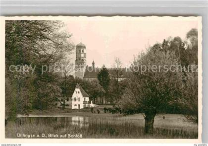 Dillingen Donau Schloss