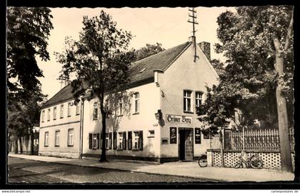 AK Doberlug-Kirchhain, HOG Grüner Berg