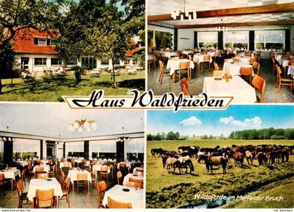 Duelmen Haus Waldfrieden Gastraeume Wildpferde im Merfelder Bruch