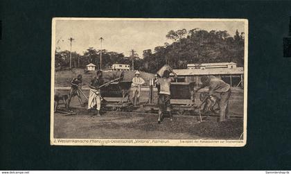 Ansichtskarte Kamerun Pflanzungs Gesellschaft - gelaufen in Deutschland