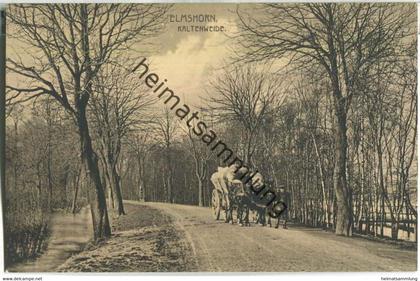 Elmshorn - Kaltenweide - Angebotskarte - Verlag Louis Glaser Leipzig