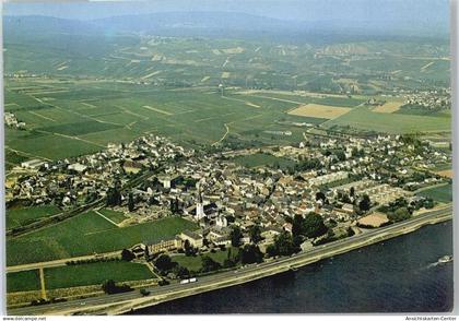 50614913 - Erbach , Rheingau
