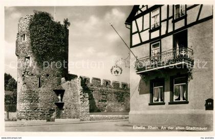 Eltville Rhein Alte Stadtmauer