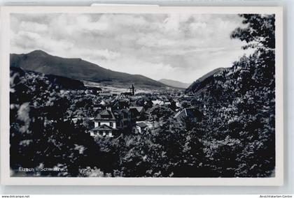 50397134 - Elzach