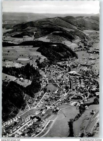 50693484 - Elzach
