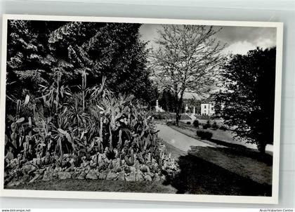 38019607 - Emmendingen